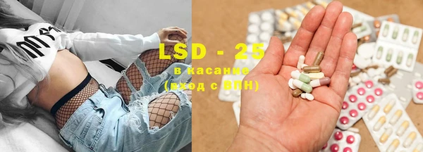 спайс Богданович