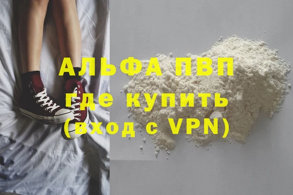 спайс Богданович