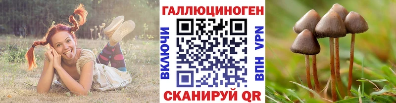 дарнет шоп  Гай  Галлюциногенные грибы прущие грибы 